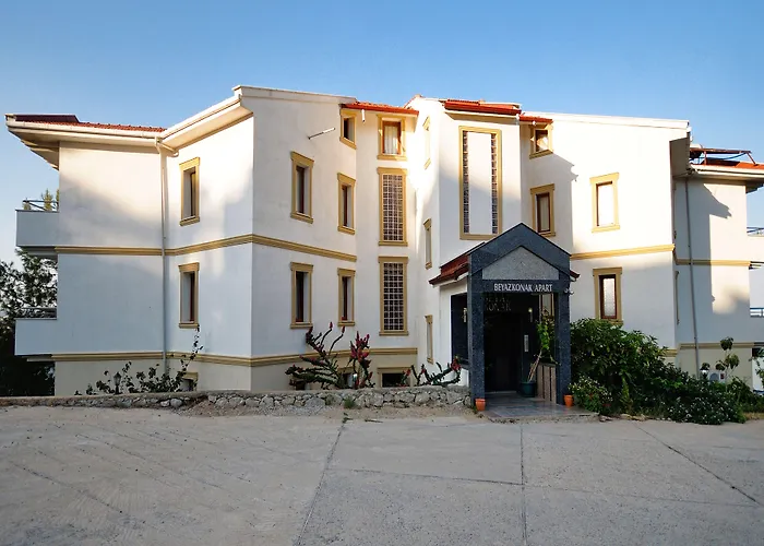 بياز كوناك ايفلري 4*