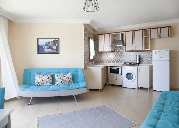 بياز كوناك ايفلري 4*