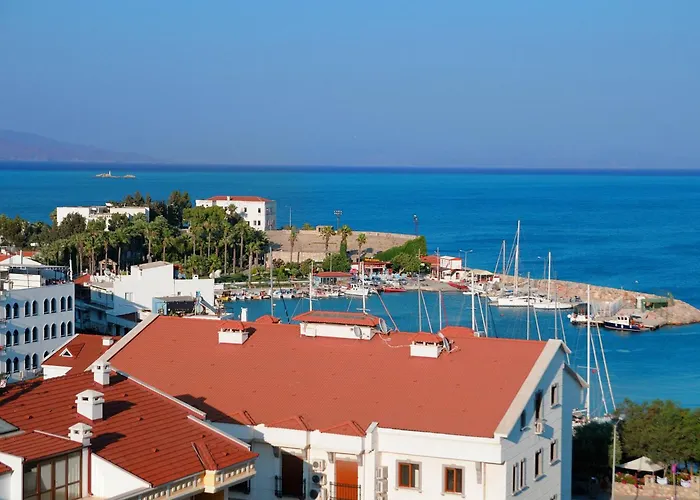 بياز كوناك ايفلري داتْشا