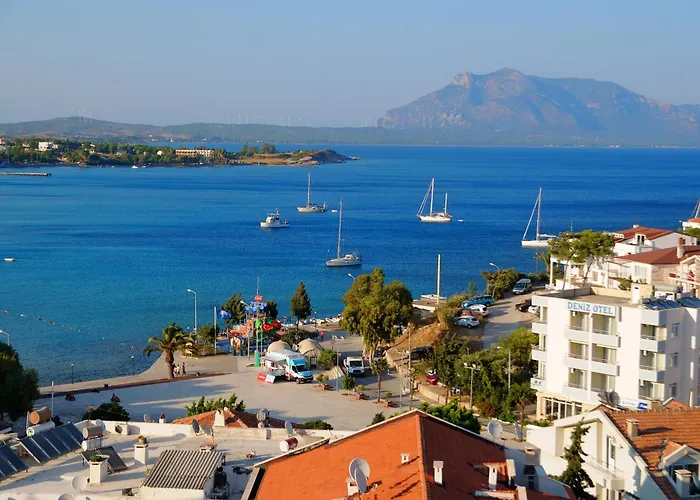 بياز كوناك ايفلري